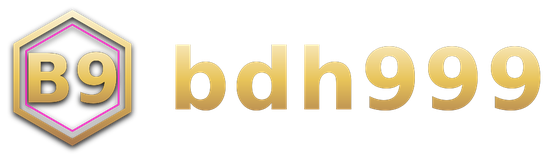 bdh999 logo